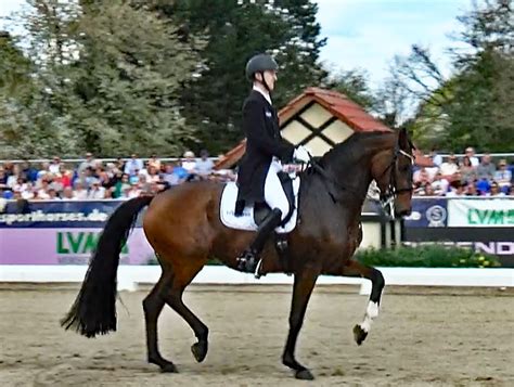 fendi pferd rothenberger|Sönke Rothenberger & 9YO Fendi Win Horses & Dreams CDI4.